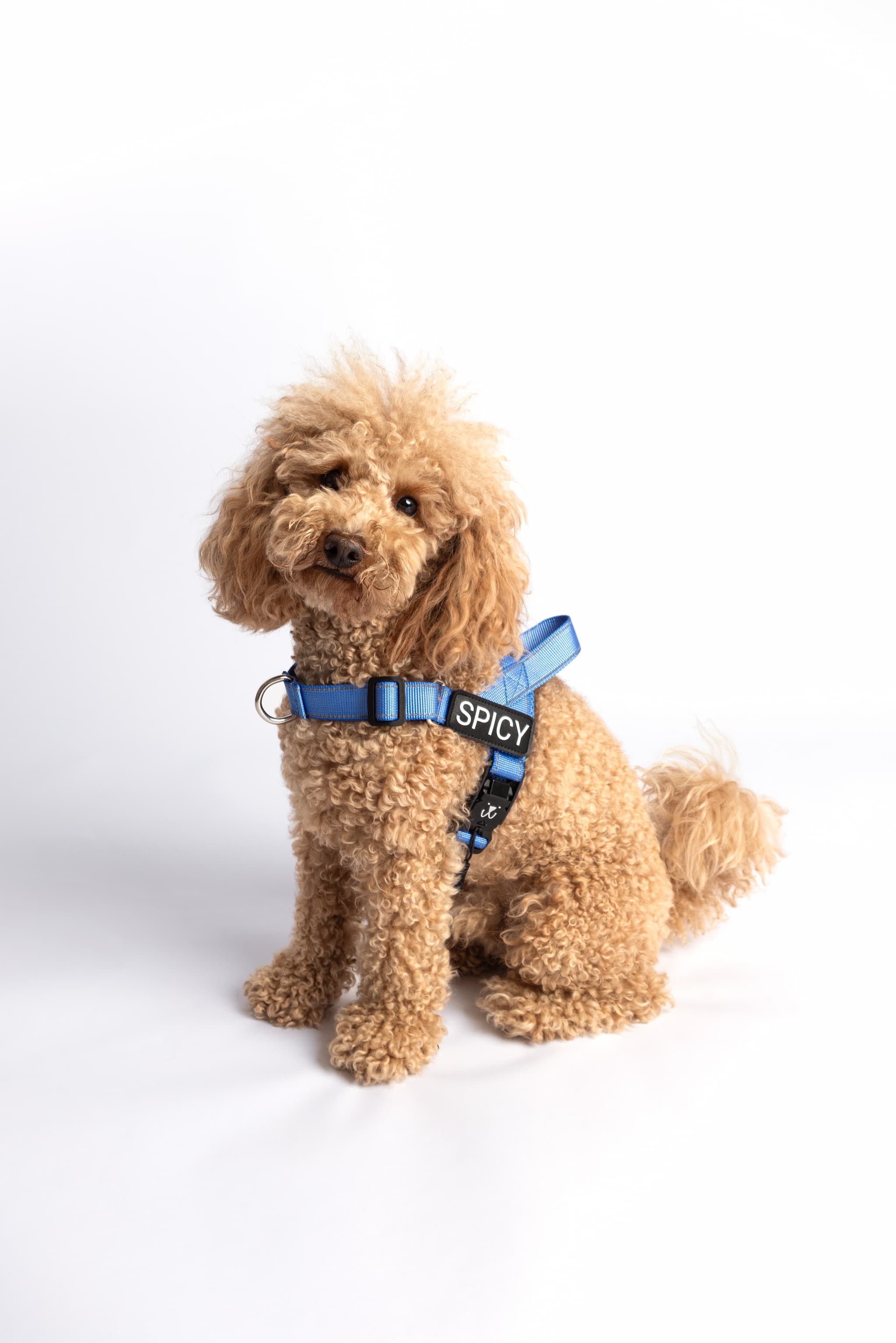 Barkee No-Pull Harness